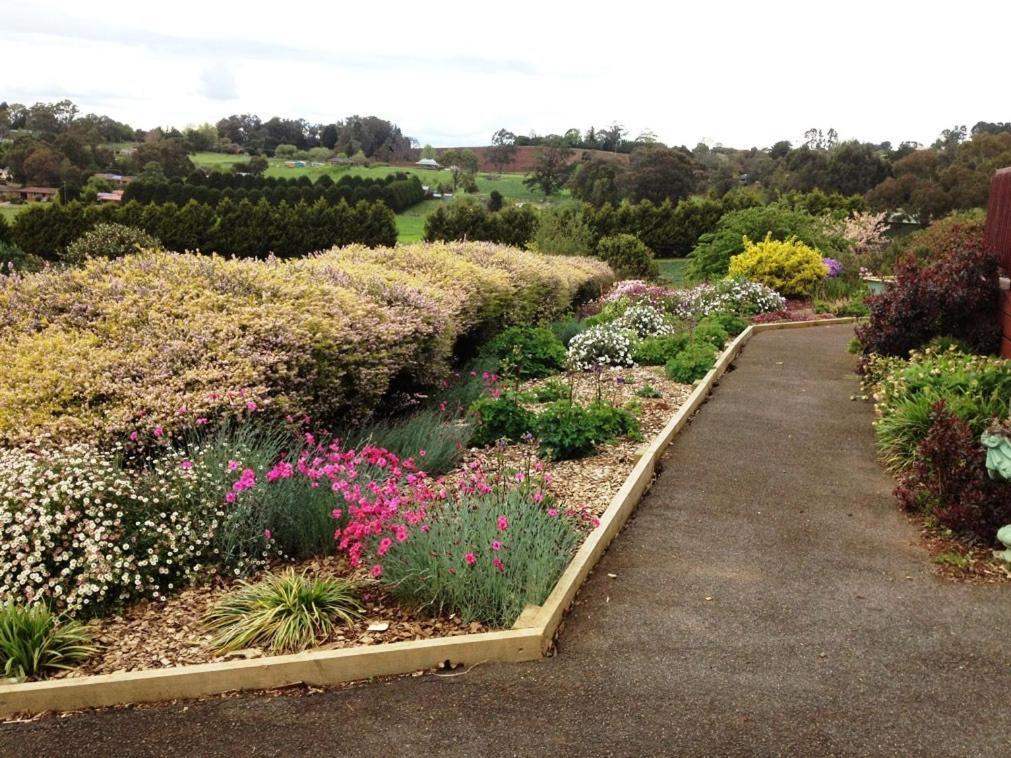 Eagle'S View Cottage - Yarra Valley Exterior foto