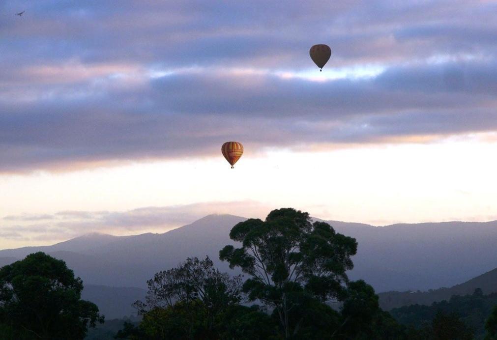 Eagle'S View Cottage - Yarra Valley Exterior foto