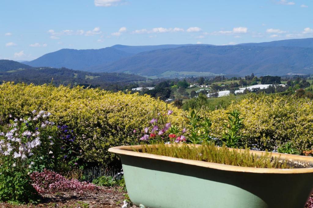 Eagle'S View Cottage - Yarra Valley Exterior foto