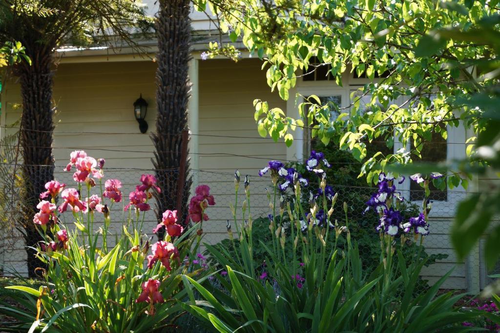 Eagle'S View Cottage - Yarra Valley Exterior foto