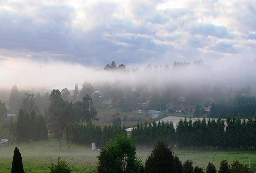 Eagle'S View Cottage - Yarra Valley Exterior foto